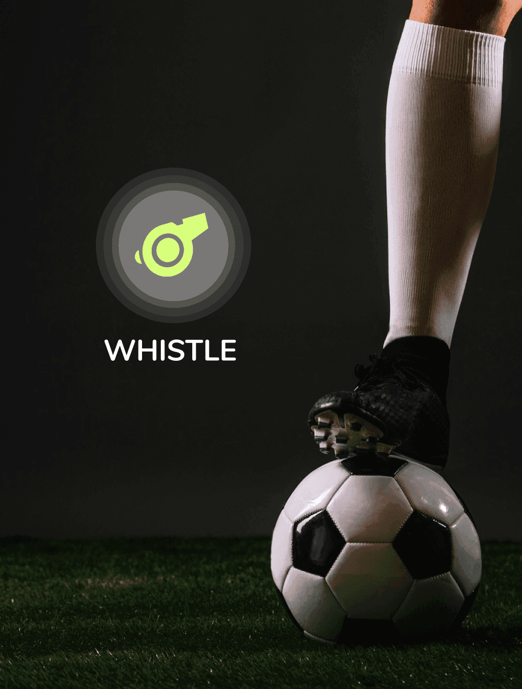 Whistle